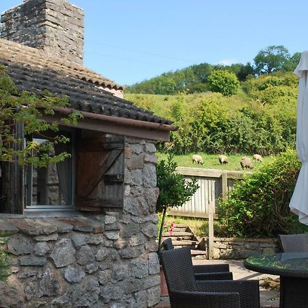 Fenny Castle Vineyard Cottage Wookey Εξωτερικό φωτογραφία