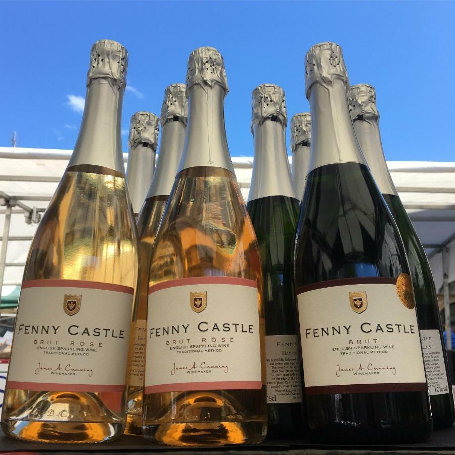 Fenny Castle Vineyard Cottage Wookey Εξωτερικό φωτογραφία