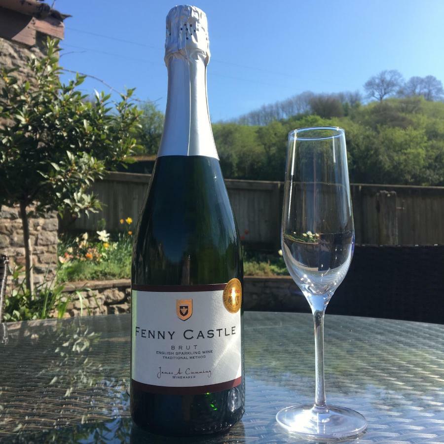 Fenny Castle Vineyard Cottage Wookey Εξωτερικό φωτογραφία
