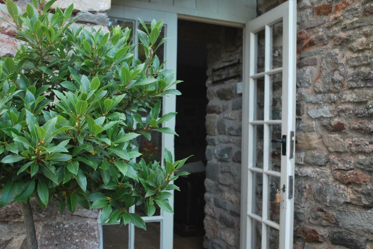 Fenny Castle Vineyard Cottage Wookey Εξωτερικό φωτογραφία