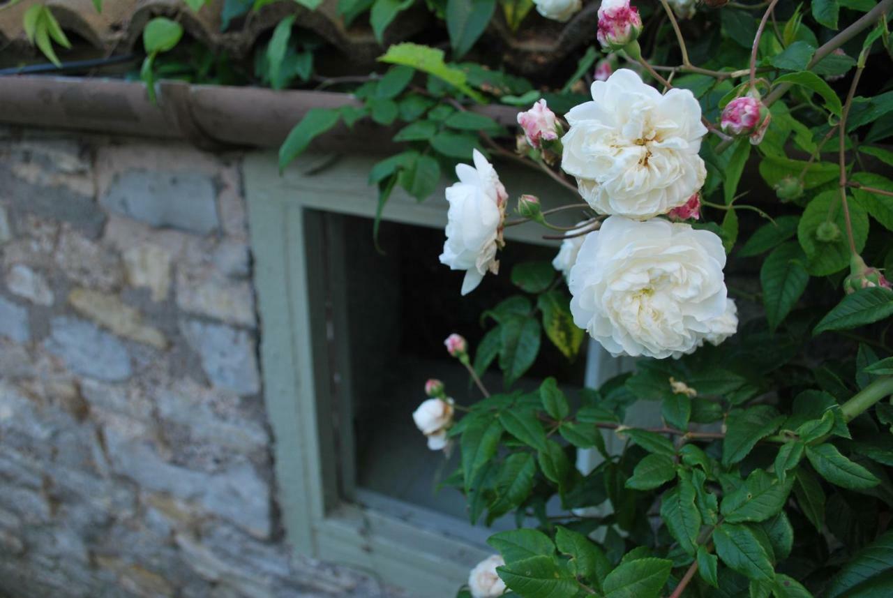 Fenny Castle Vineyard Cottage Wookey Εξωτερικό φωτογραφία